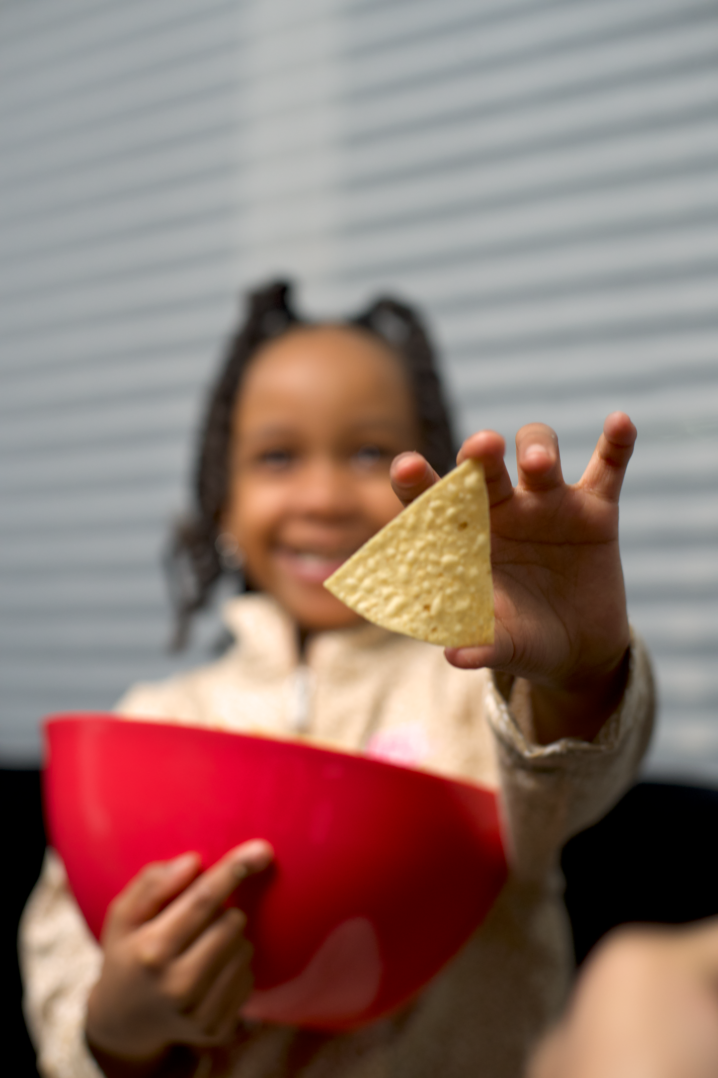 Navy Bean Chips